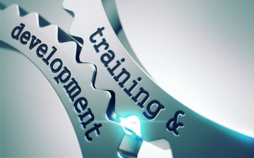 Software Training